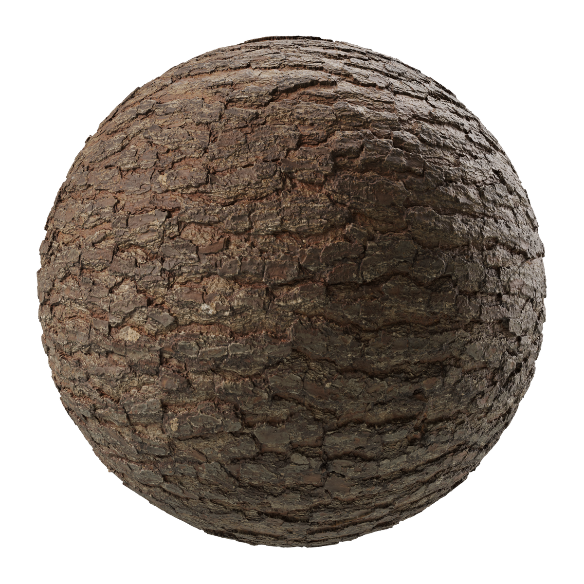 american-pine-tree-bark-on-substance-3d-assets