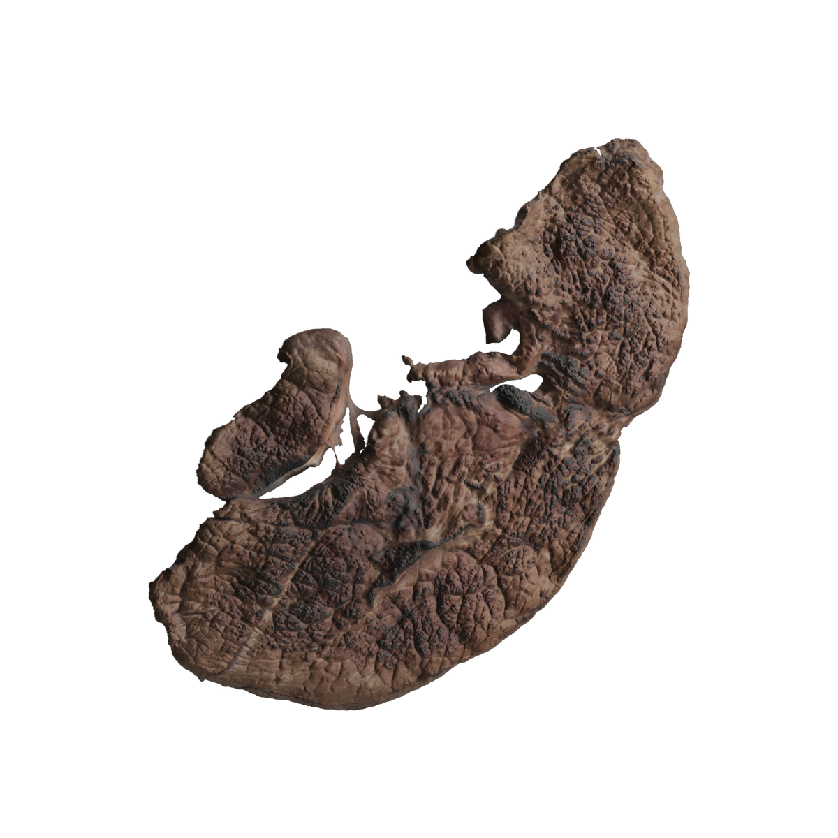 Grilled Beef Meat Lumps 03 on Substance 3D Assets