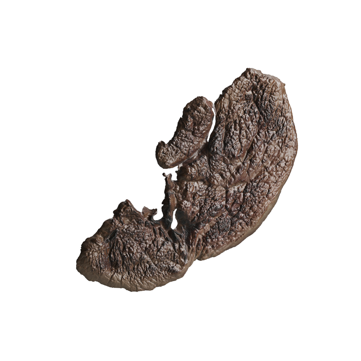 Grilled Beef Meat Lumps 04 on Substance 3D Assets