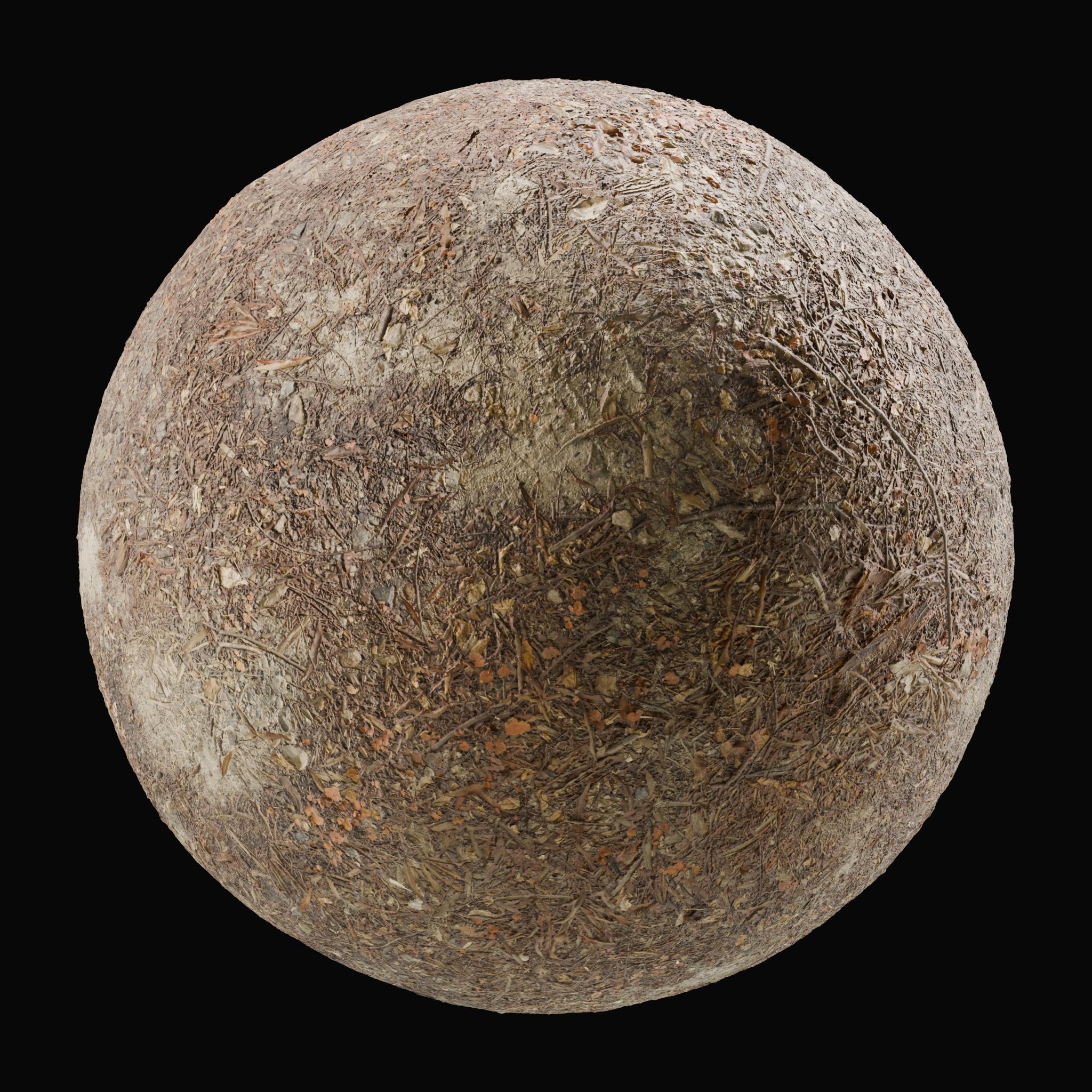 Natural Debris Ground Patch on Substance 3D Assets
