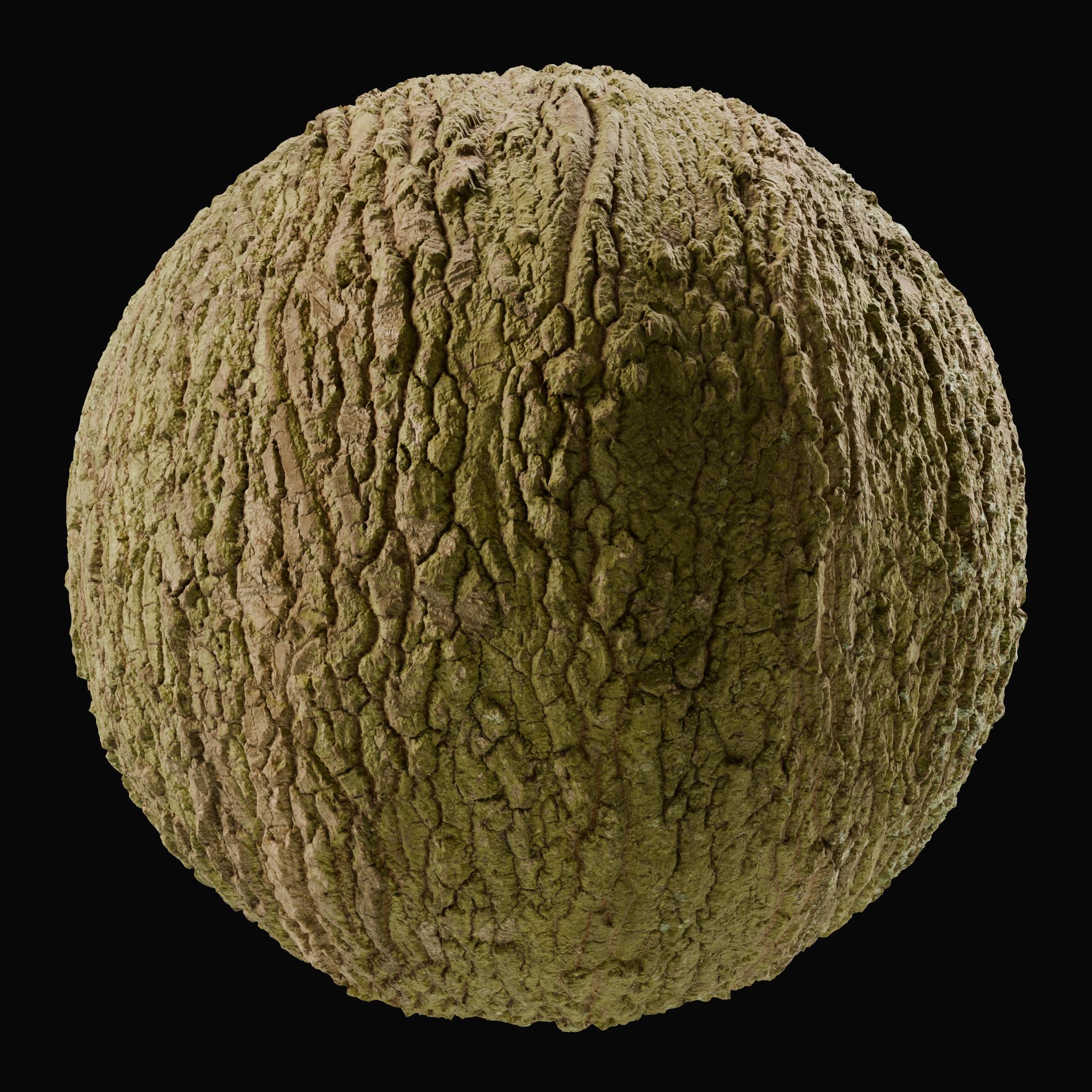 Deeply Cracked Tree Trunk on Substance 3D Assets
