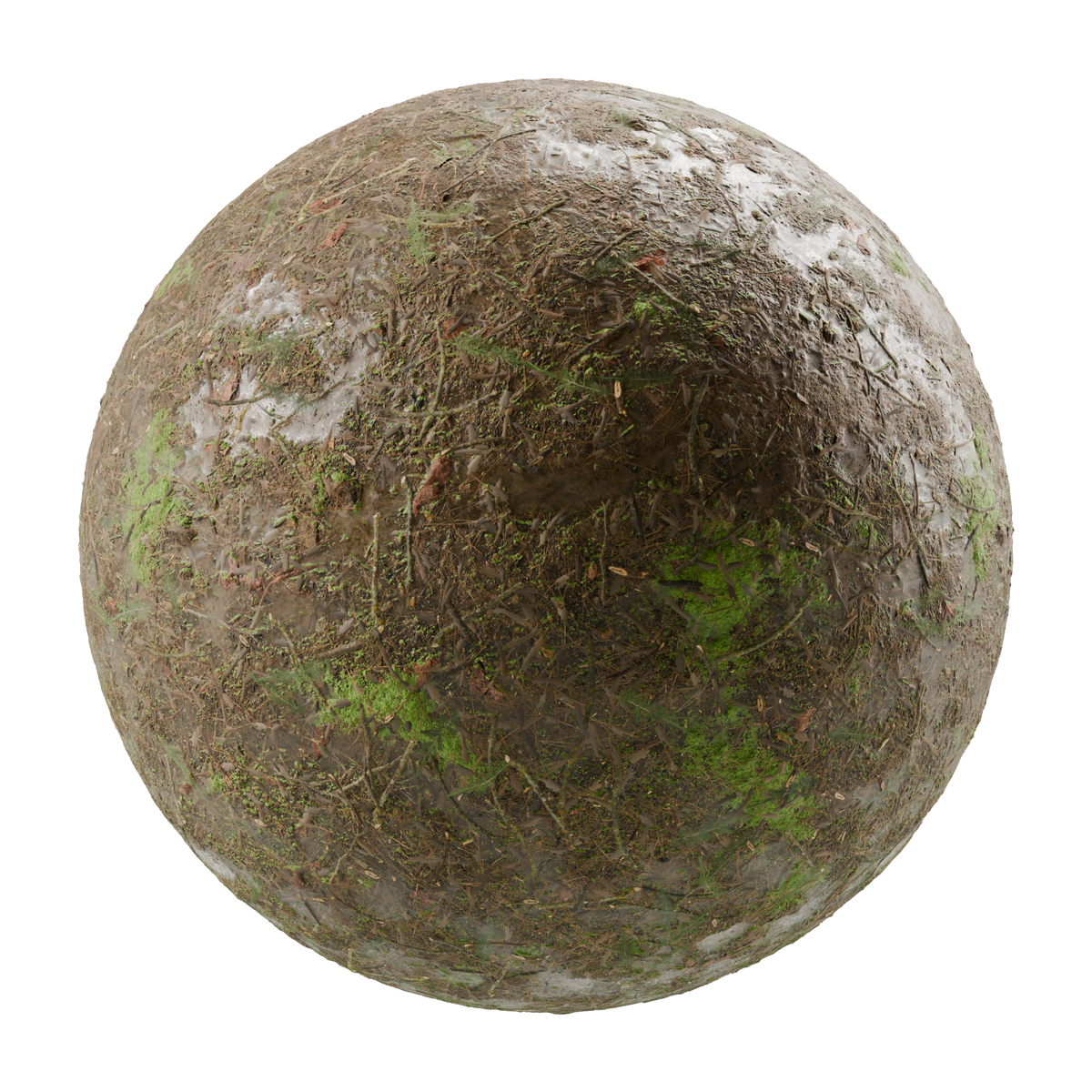 Forest Compost Soil on Substance 3D Assets