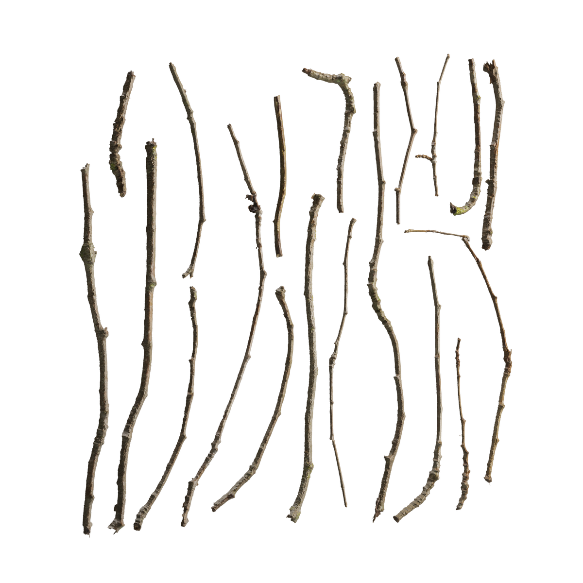 Wood Sticks on Substance 3D Assets