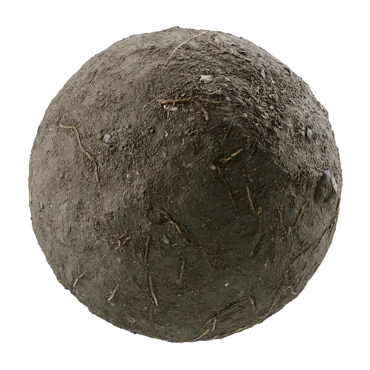 Twigs On Excavated Ground on Substance 3D Assets